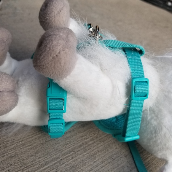 Small Dog or Cat Harness and Leash Adjustable - Picture 4 of 9